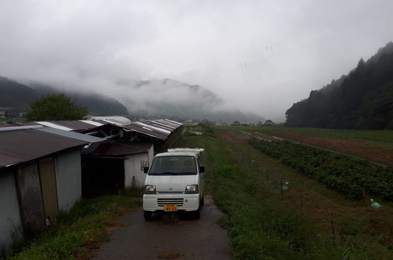 early morning on the Hashimoto farm