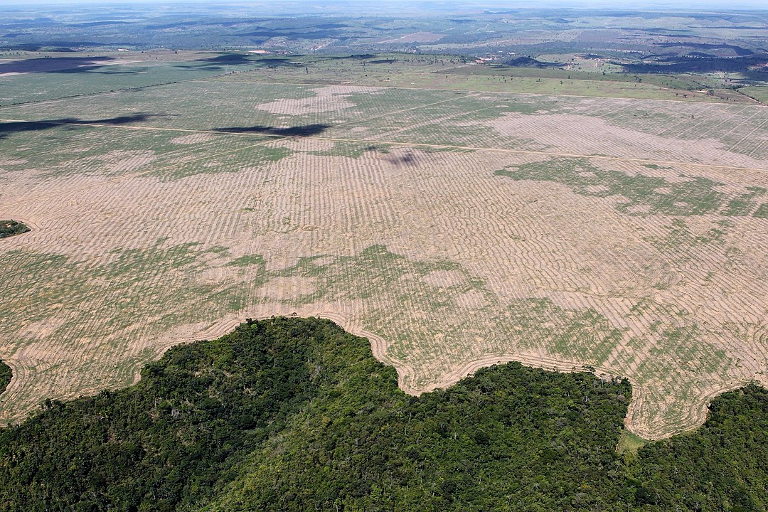 Amazon deforestation