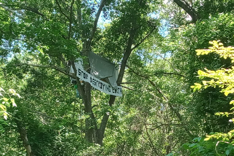 forest defender treehouse