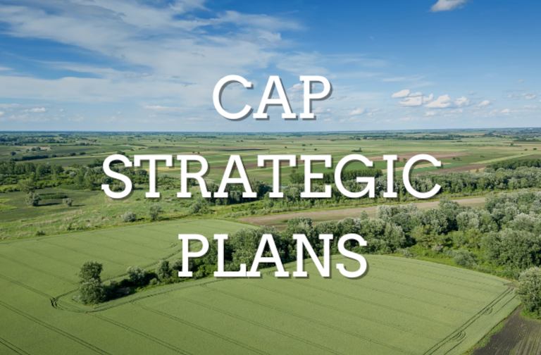 CAP Strategic plans