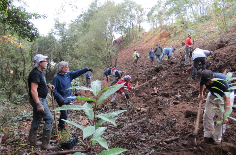 ecosystem restoration
