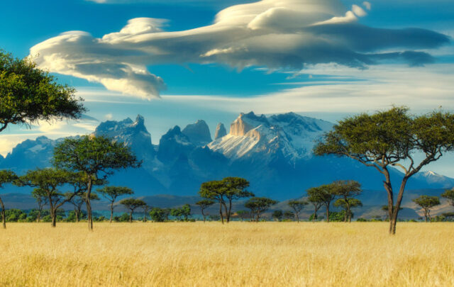 African landscape