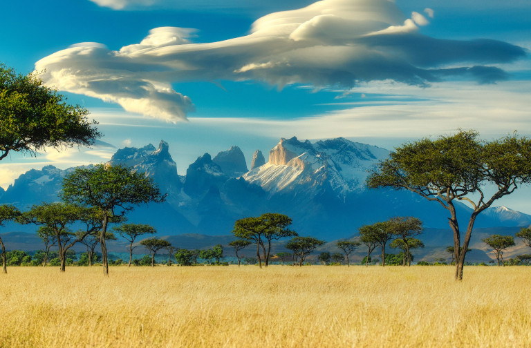 African landscape