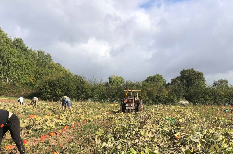 Working on a community farm
