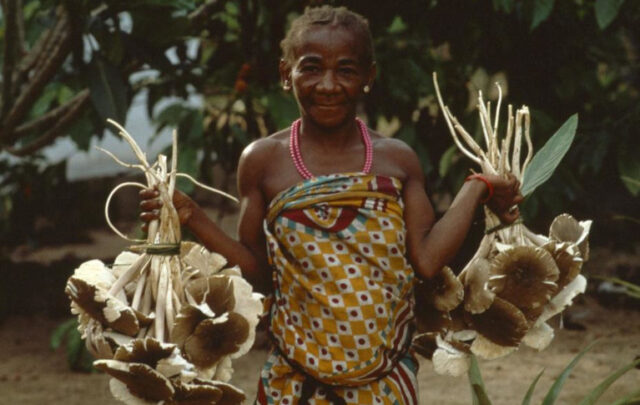 Mbuti woman with mushrooms