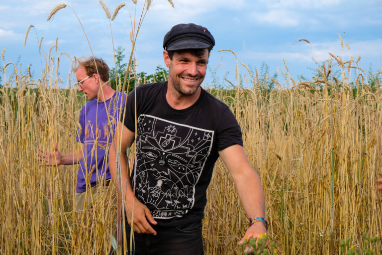 Traditional wheat farmers in Belgium
