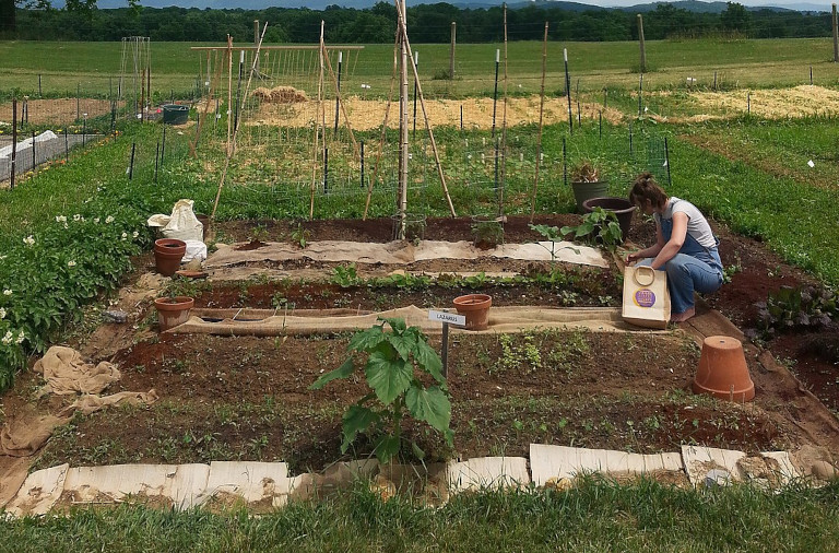 community garden worker