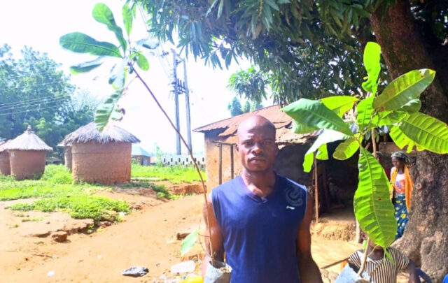 cashew tree programme beneficiary