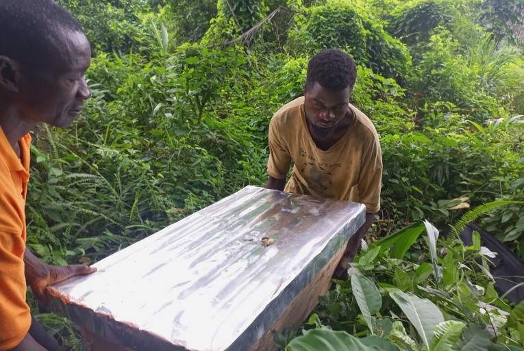 Installing bee hives