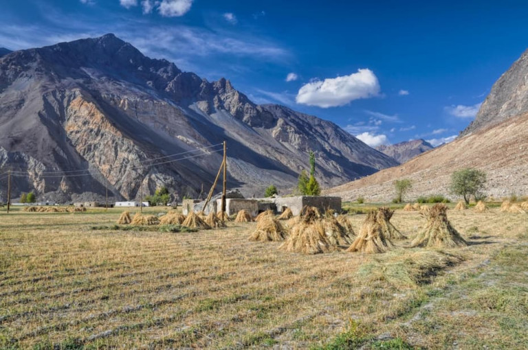 Farming in Tajikistan