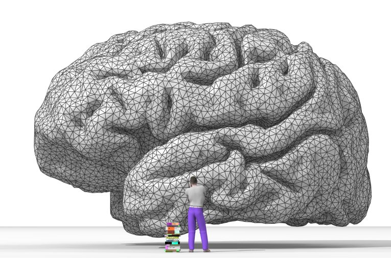 Rendering of the human brain