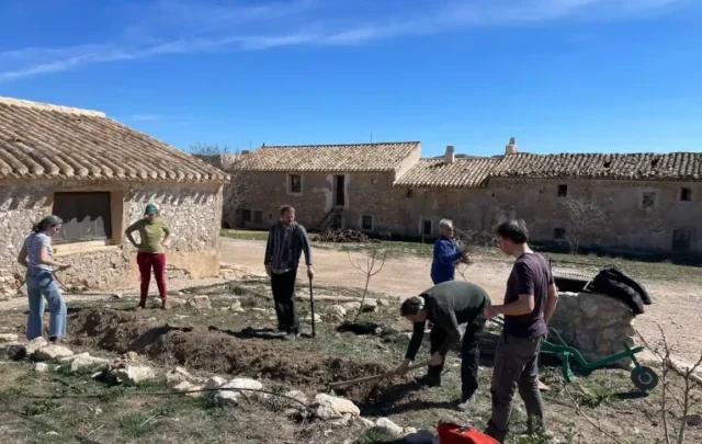 Replanting trees in the Altiplanto