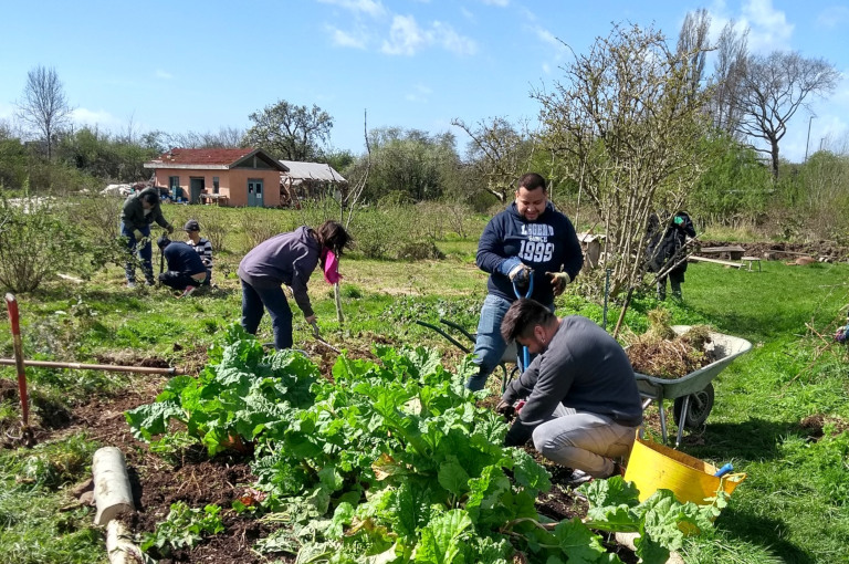 Community-supported agriculture in actions