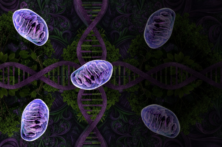 new cultural mitochondria