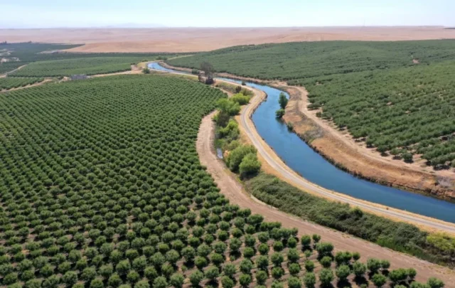 Central Valley water