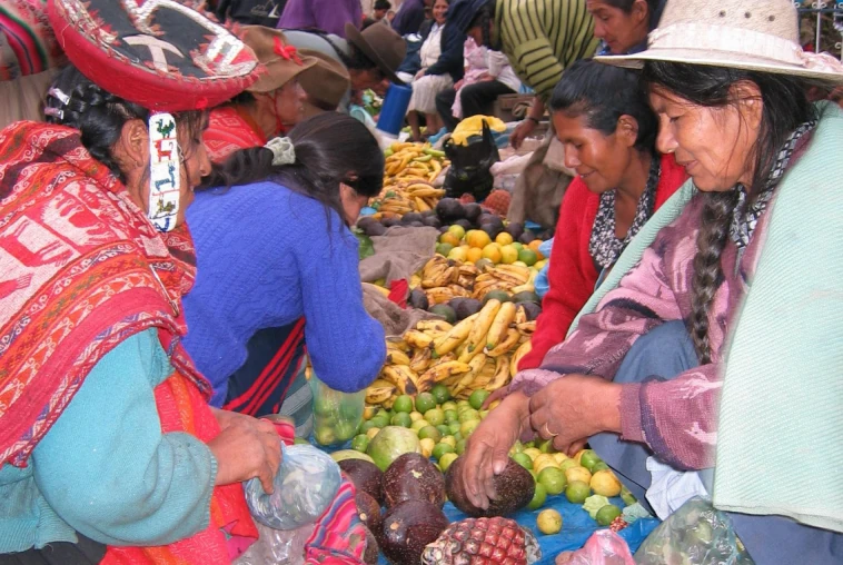Andean women's market