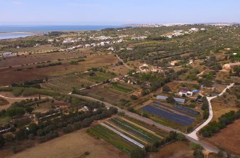 Bird's eye view of Quinto Vale da Lama