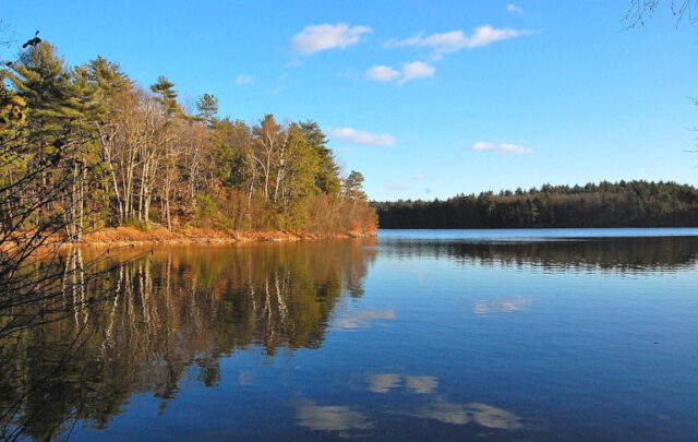 Walden Pond