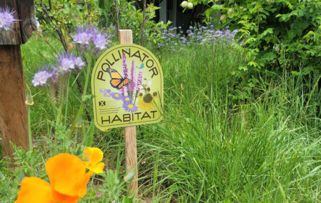 Pollinator habitat sign