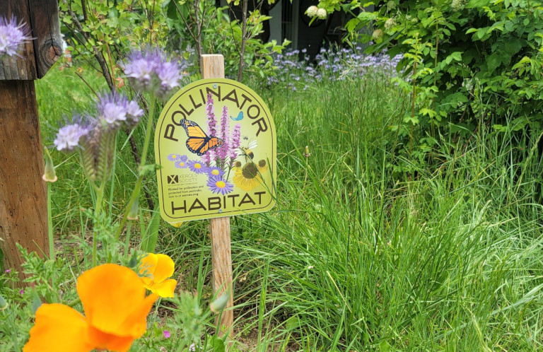 Pollinator habitat sign