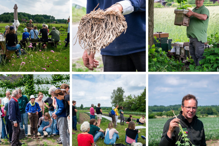 Rooting Deeper Festival