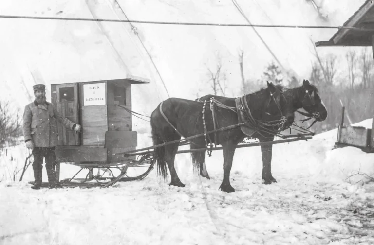 Benzonia County mail carrier