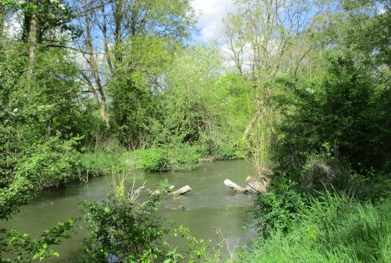 River Kennet