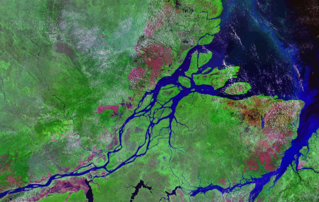 Mouths of the Amazon River 1990