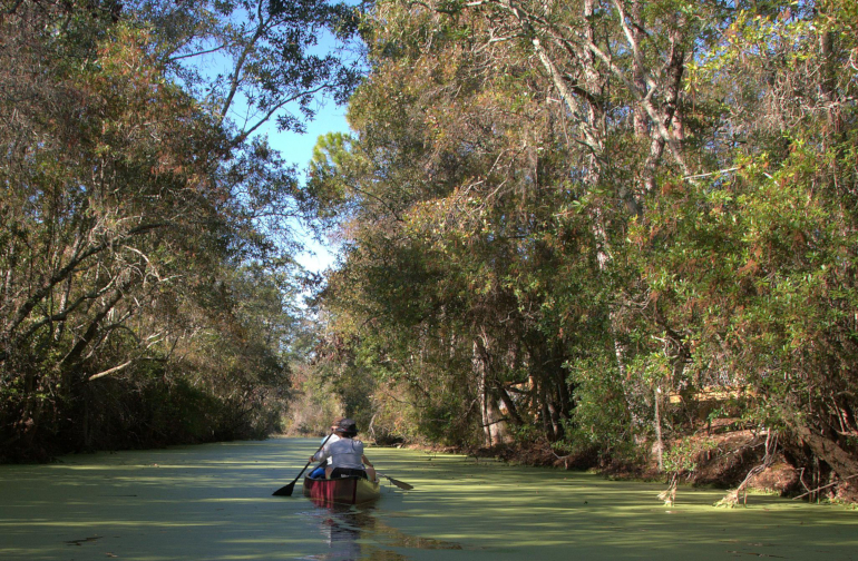 Okefenokee Canoeists