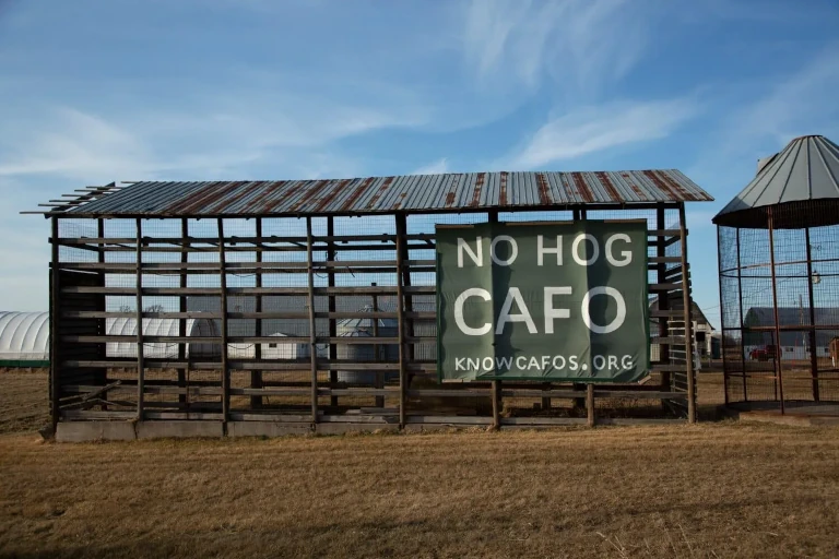 No hog CAFO sign