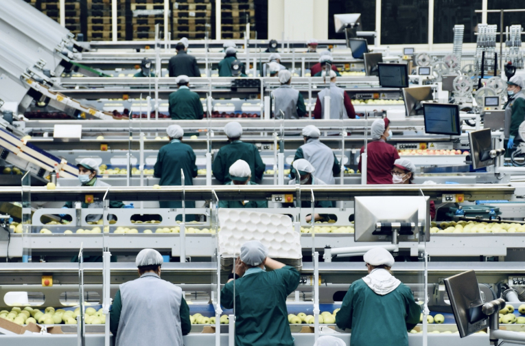 Food workers in factory