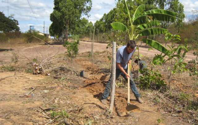 ecosystem restoration