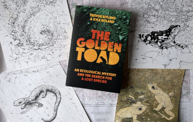 Golden Toad book