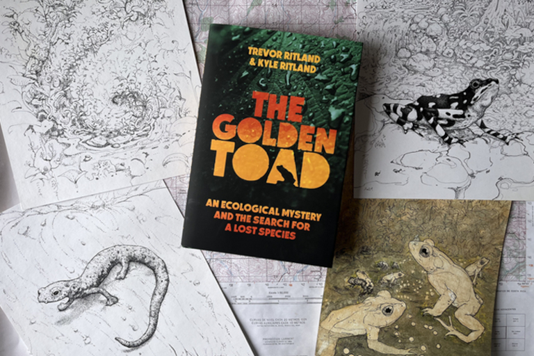 Golden Toad book