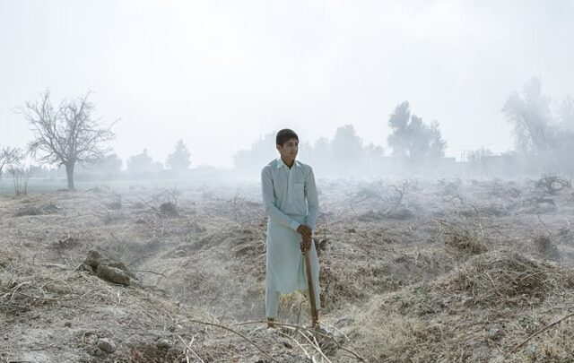 Water shortage around the Hamun wetlands, Iran-Afghanistan border.